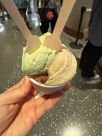 DAYVI GELATERIA