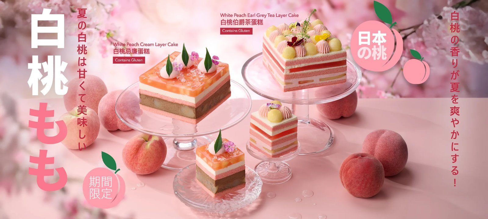 LIFETASTIC PATISSERIE（尖沙咀 The ONE） 4