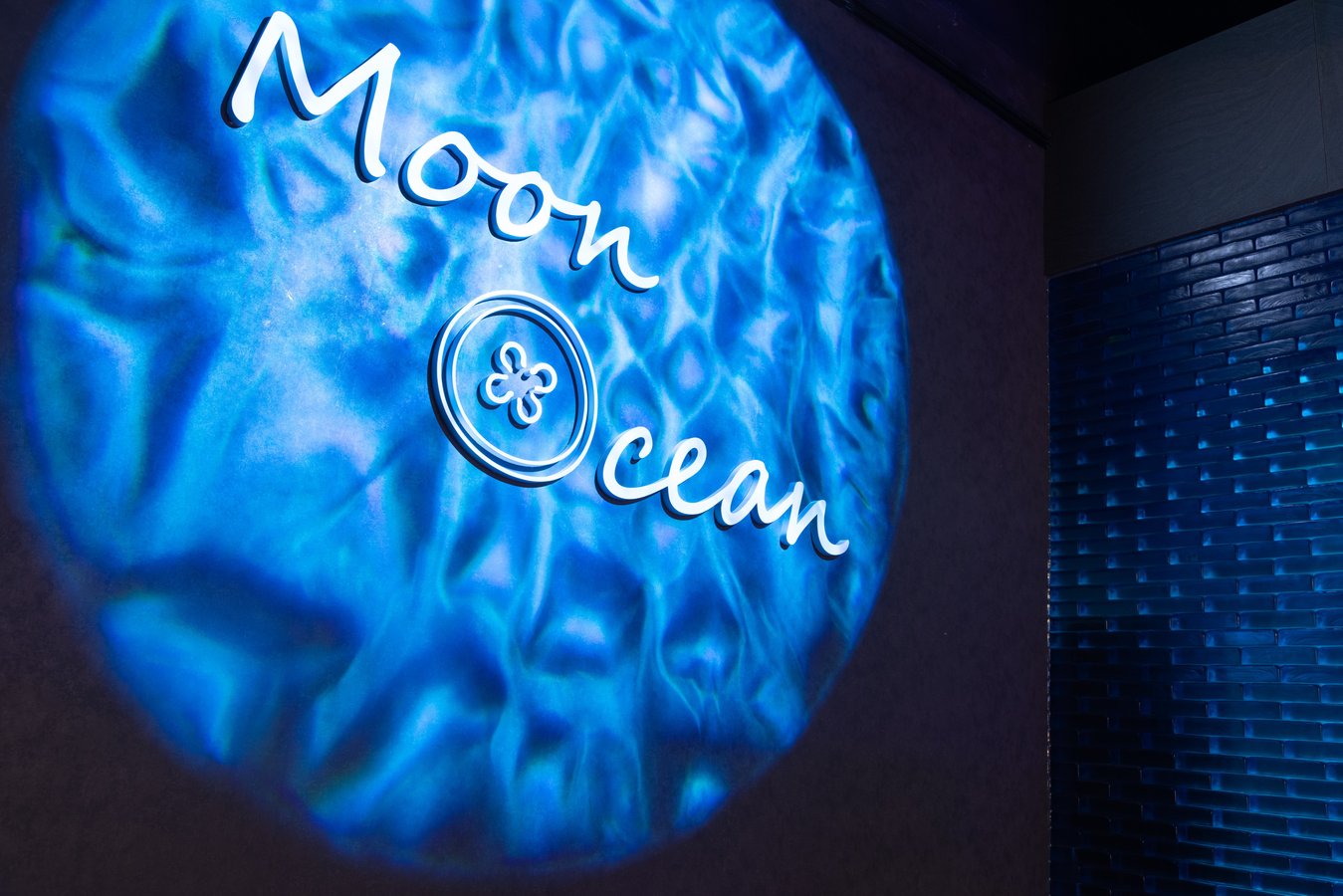 Moon Ocean